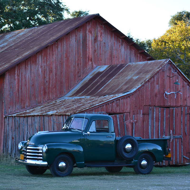Out on the Ranch (with Dr. Lee)