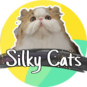 silky cats
