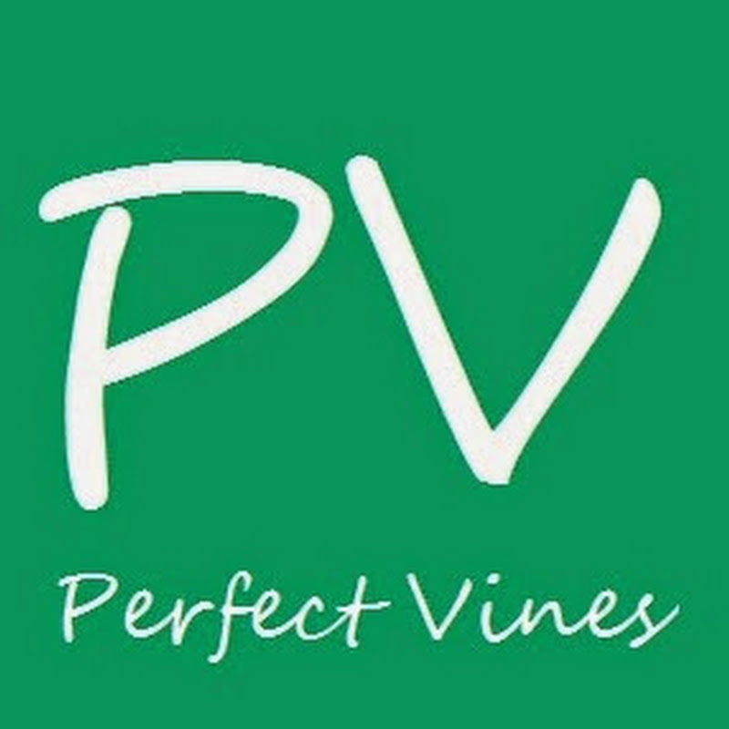 Perfect Vines