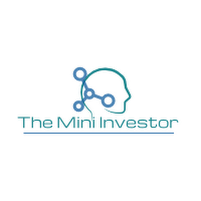 The Mini Investor