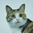 @powerlurker Avatar