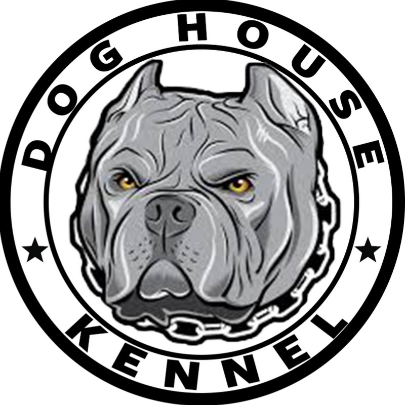 Dog House Kennel