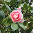 @celinek2690's avatar