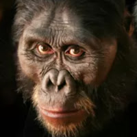 Ben Giannillo profile image