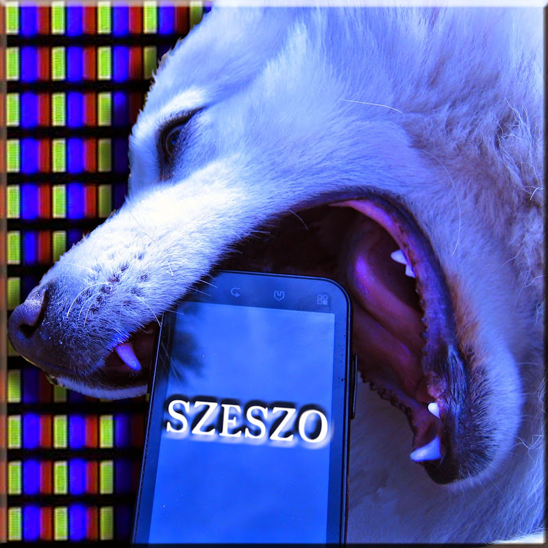 szeszo icon