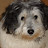 @Delawarecotons's avatar