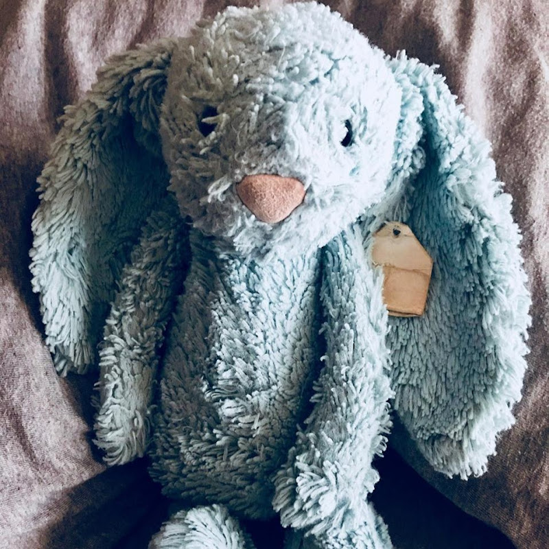 Blue Bun Productions