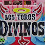 LOS TOROS DIVINOS DE HUANDACAREO MICH. logo