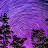 @Tetra84's avatar