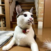でか猫みっちりチャンネル