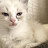 @user-fe8hq8tr2q