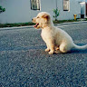 Автор