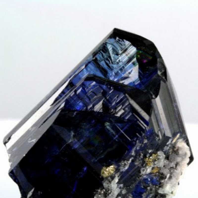 Voillot Patrick Logo