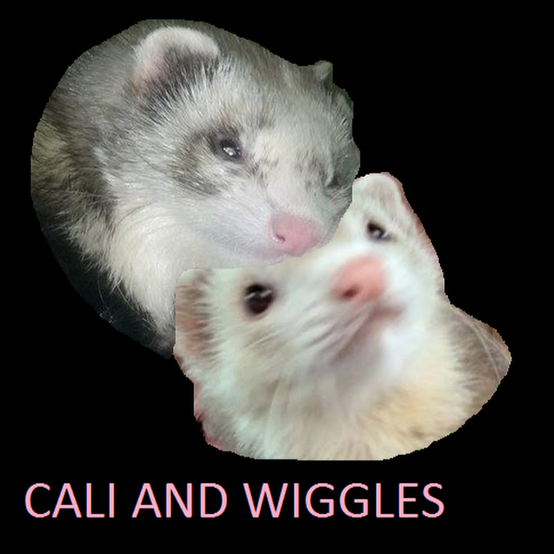 Cali and Wiggles