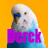 sgiptDqOeKc-channel-avatar-Derekthebird