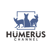 Humerus Channel