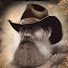 Author avatar: User photo of Stinnett Sticks