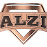h0AsbN-4SK0-channel-avatar-ALZI PRODUCTION