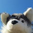 7ssRXpfvQAM-channel-avatar-Tommy_Nightmare