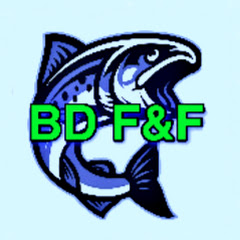 BD Fish & Fishing Life channel logo