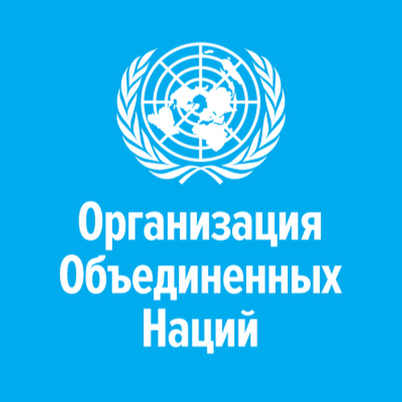 Организация Объединенных Наций