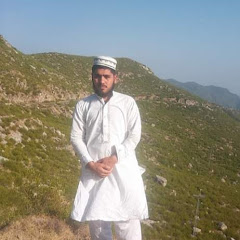 Arshad Ali