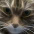 Qp4sq9QLt-o-channel-avatar-Tanchoha SLAV сказка