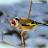 @momomtl7299's avatar