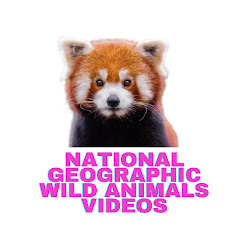 National geographic wild animals videos channel avatar