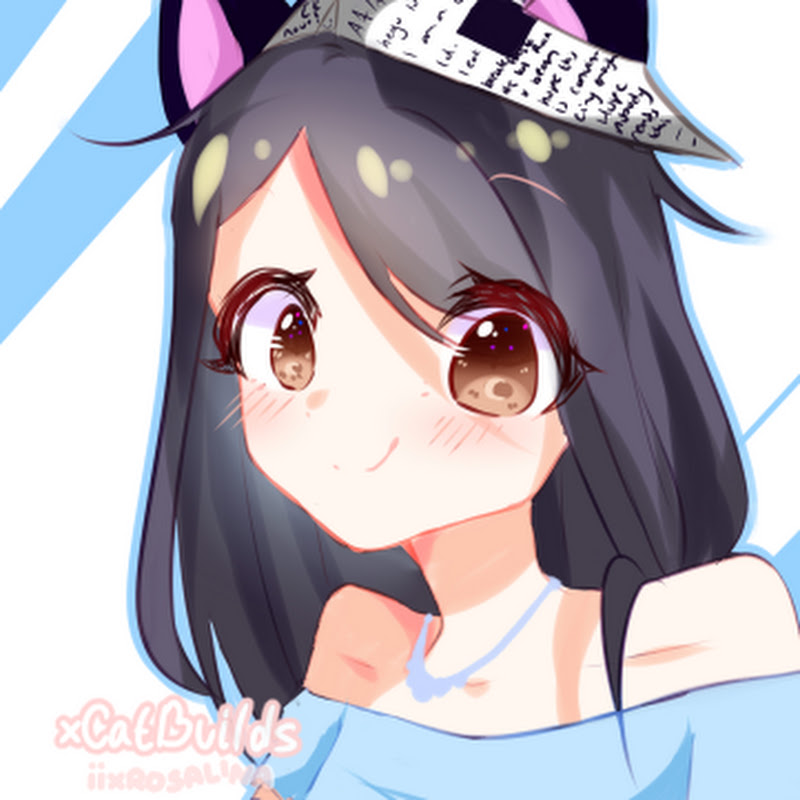 CatBuilds