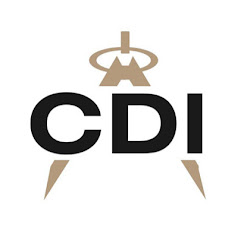 TheLoizeauxGroupLLC net worth