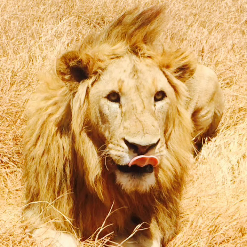 Marco “Marco X” Brese