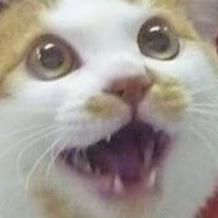 むらびと実況
