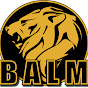 Bold as a Lion Ministries logo