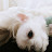 @정인서-x7q