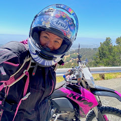 Wild Wanderland net worth