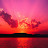 @JODYNE100 Avatar