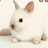 @cmfh68 Avatar