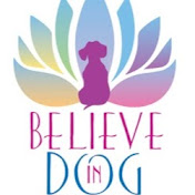 Stephanie Bennetts Believe in DOG Training