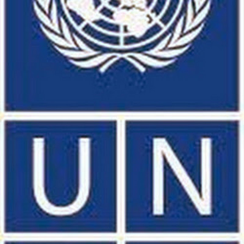 UNDPMK