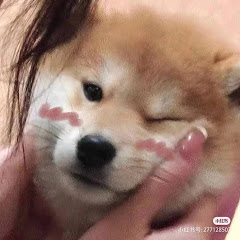 山河故里アイコン画像