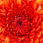 @mar12st83 Avatar