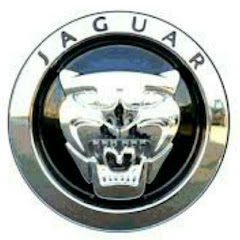 Moves Like Jaguar