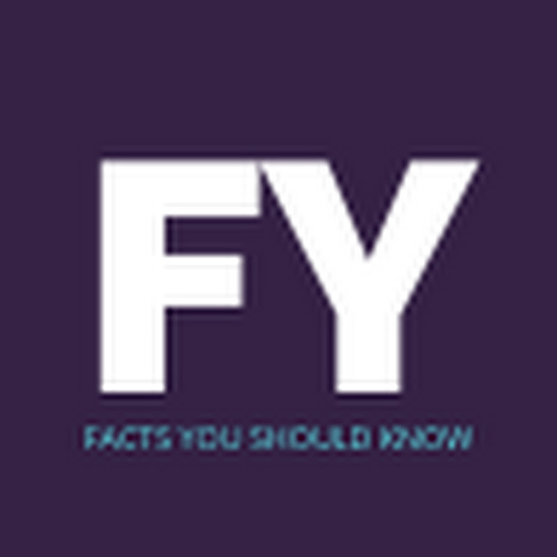 FACTOFY