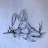 @thirstyrabbittanks2u191 Avatar