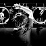 OV2ctEYGAhA-channel-avatar-GS57GS