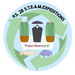 STEAM Expeditions