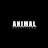 Animal Shortfilms