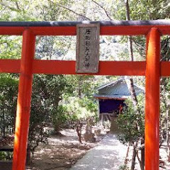 狂依存者