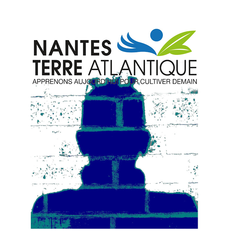 Pierre Troulet icon